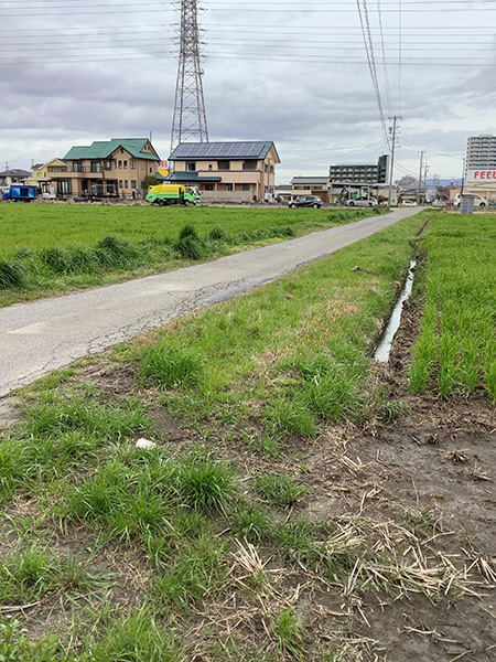 森の美術館をした近所の農道/ネイチャーゲーム