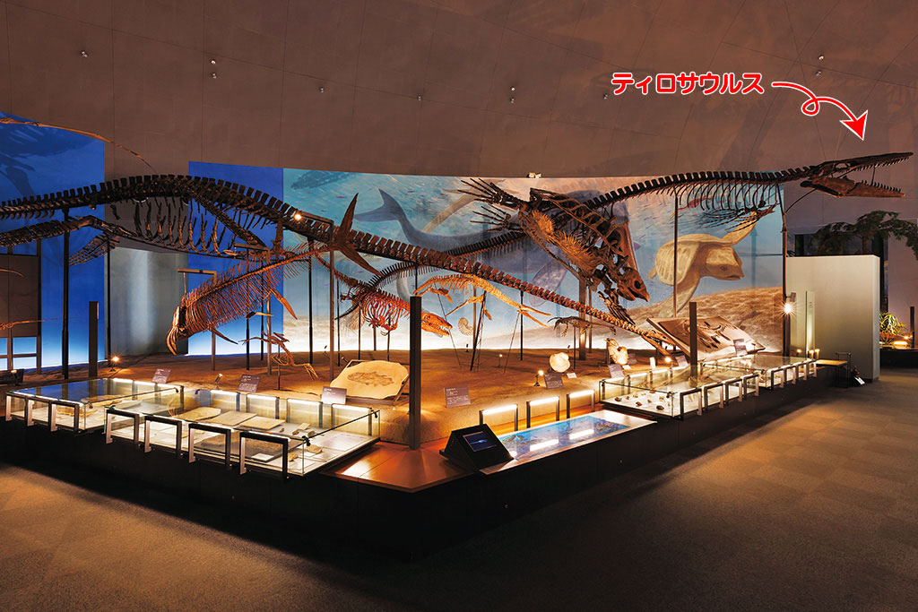 生命の歴史/福井県立恐竜博物館(勝山市)