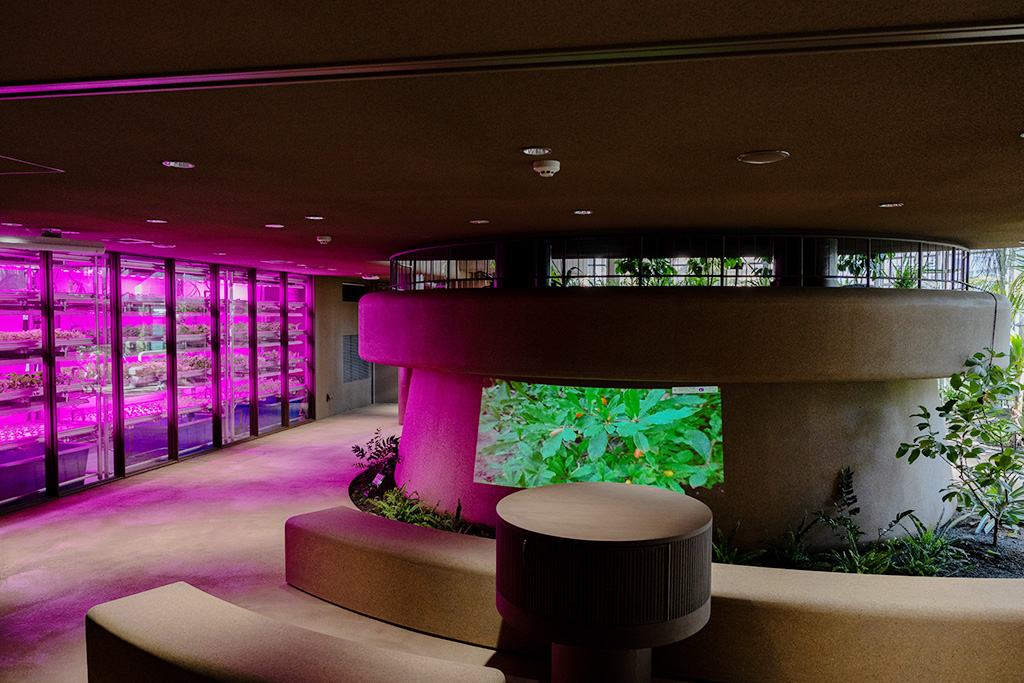 室内型菜園「Farm Labo」/渋谷区ふれあい植物センター(東京都/渋谷区)