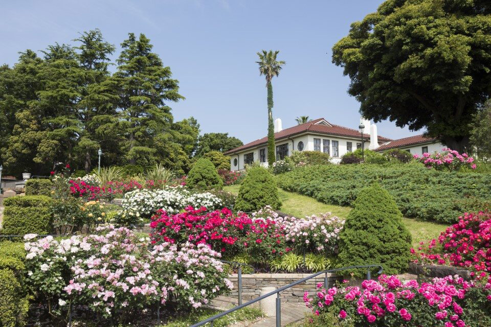 港の見える丘公園/横浜ローズウィーク(神奈川県/横浜市)