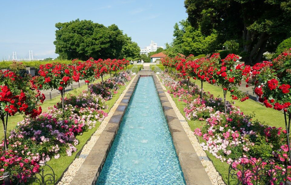 山手イタリア山庭園/横浜ローズウィーク(神奈川県/横浜市)