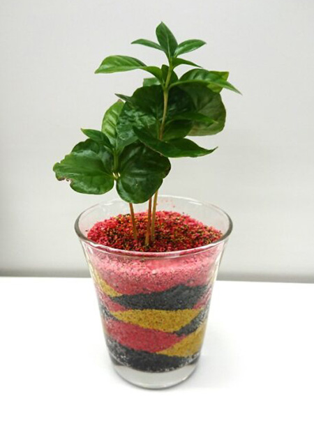 園芸ワークショップ/横浜フラワー&ガーデンフェスティバル 2024(神奈川県/横浜市)