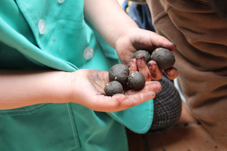 「たねダンゴ」/横浜フラワー&ガーデンフェスティバル 2024(神奈川県/横浜市)