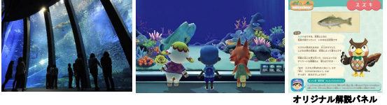 「サカナや海の幸の特別展示」/あつまれ どうぶつの森 × 横浜・八景島シーパラダイス はっけい島 海の生きもの ふれあい展(神奈川県/横浜市)