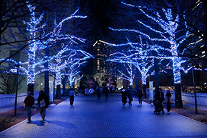 ヨコハマミライト2025 ~みらいを照らす、光のまち~(神奈川県横浜市)