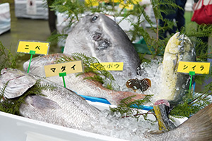 横浜市場まつり2025(神奈川県横浜市)