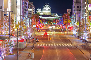 Himeji大手前通りイルミネーション(兵庫県姫路市)