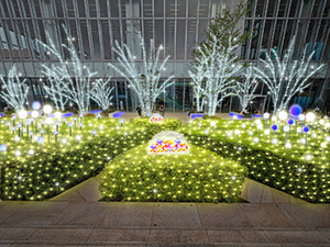 あべのハルカス 天空のイルミネーション 2025(大阪府大阪市)