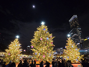 クリスマスマーケットin大阪 てんしば(大阪府大阪市)