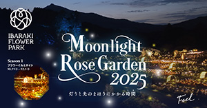 Moonlight Rose Garden2025 灯りと光のまほうにかかる時間(茨城県石岡市)