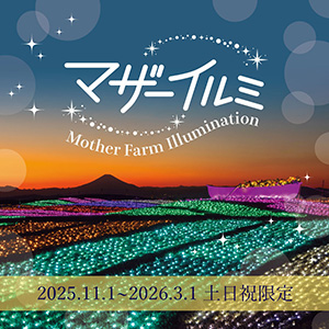 マザーイルミ(千葉県富津市)