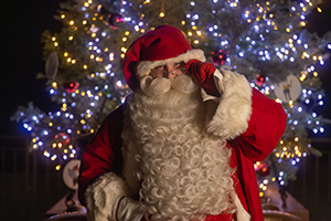 メッツァの北欧クリスマス2025(埼玉県飯能市)