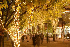 2025たちかわイルミネーション(東京都立川市)