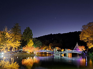 秋遊び2025~来て、見て、体験して 誰かに教えたくなるDays~(東京都町田市)