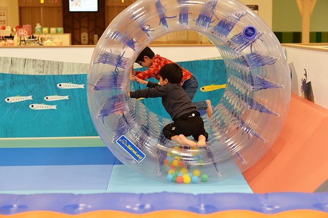 サイバーホイール／株式会社ボーネルンド