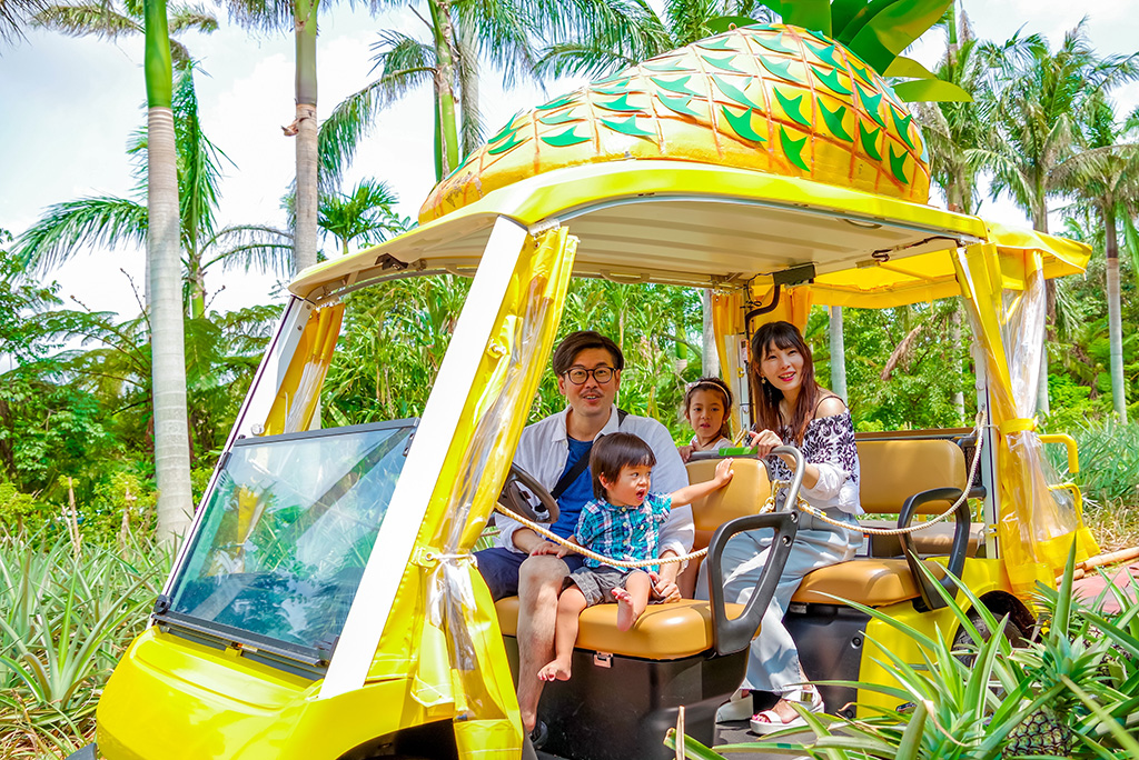 ナゴパイナップルパーク（沖縄県/名護市）