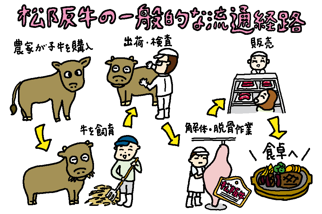 松阪牛が食卓に届くまで/三重県の特産品「松阪牛」