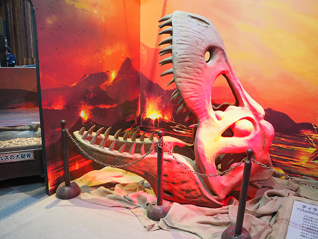 ダイナソーアドベンチャーツアー大恐竜パーク「ティラノサウルスの頭蓋骨のレプリカ」/BIGHOPガーデンモール印西（千葉県）