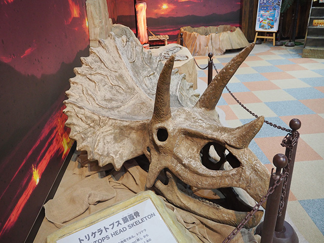 ダイナソーアドベンチャーツアー大恐竜パーク「トリケラトプスの頭蓋骨」/BIGHOPガーデンモール印西（千葉県）