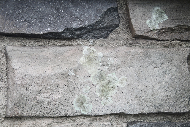 隠れオラフ|フローズンキングダム/東京ディズニーシー(千葉県/浦安市)