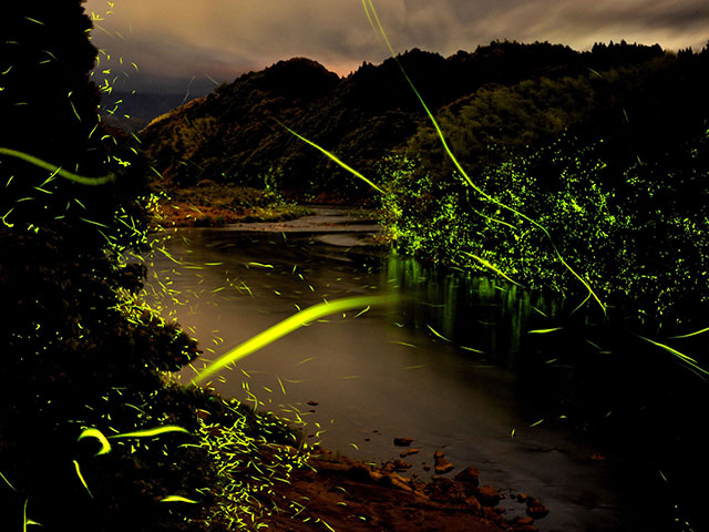 川内川さつま町神子地区（鹿児島県／薩摩郡さつま町）