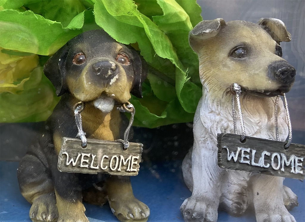 わんにゃんフェスタ/NESTA 2024キッチンカーフェス（兵庫県/三木市）