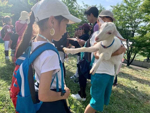MGヤギ牧場/戸塚まつり（神奈川県/横浜市）
