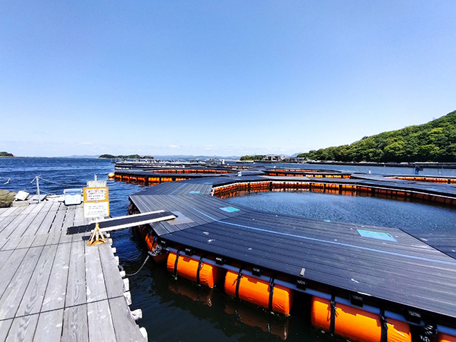 12角形の大きな円形イケス/カタタの釣堀（和歌山県/白浜町）