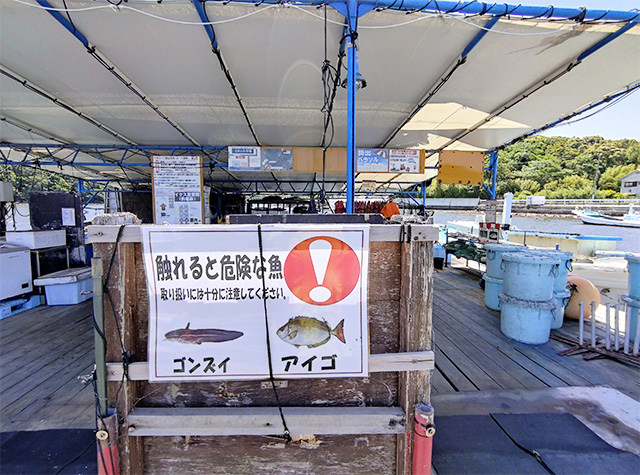 注意書き/「カタタの釣堀」（和歌山県/白浜町）