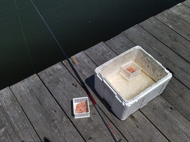 「カタタの釣堀」/とれとれパーク（和歌山県/白浜町）