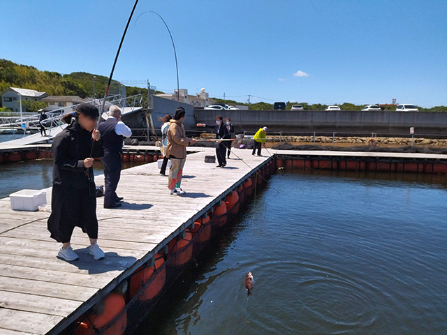 「カタタの釣堀」釣りの様子/とれとれパーク（和歌山県/白浜町）
