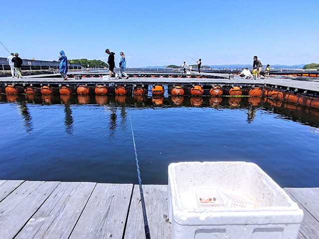 「カタタの釣堀」釣りの様子/とれとれパーク（和歌山県/白浜町）