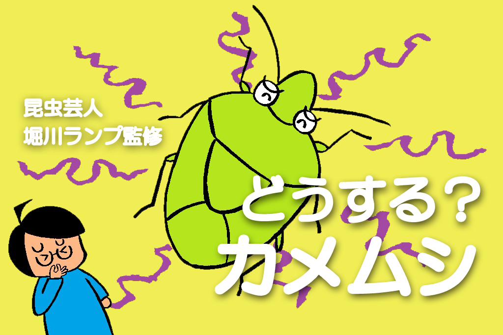 どうする？カメムシ