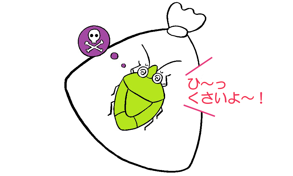 カメムシのイラスト