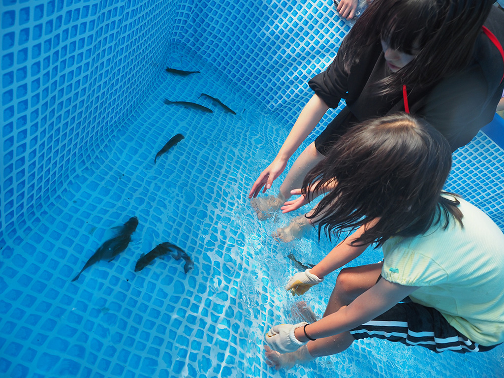 魚のつかみどり体験/五感を使え! 水でEnjoy! ~川と魚で学ぶ水~(埼玉県/長瀞町)