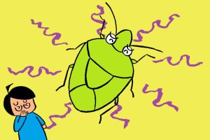 カメムシ対策!臭いの理由、寄せ付けない方法と捕まえ方を解説!