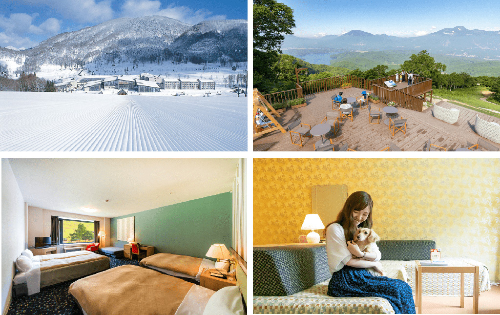 タングラムファミリーマルシェ（長野県/信濃町）