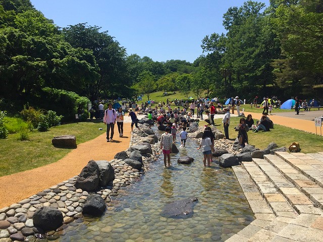 渓流広場/国営武蔵丘陵森林公園 水遊び場(埼玉県/滑川町)