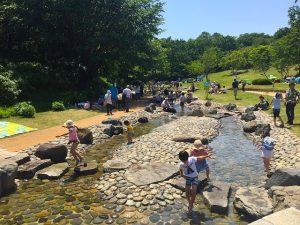 国営武蔵丘陵森林公園のオアシス「水遊び場」がオープン　自然の中でゆったりと水遊びを満喫