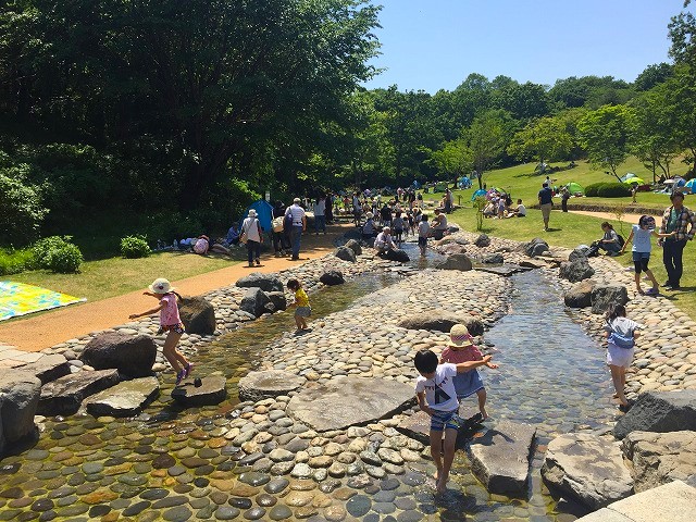 国営武蔵丘陵森林公園　水遊び場（埼玉県/滑川町）