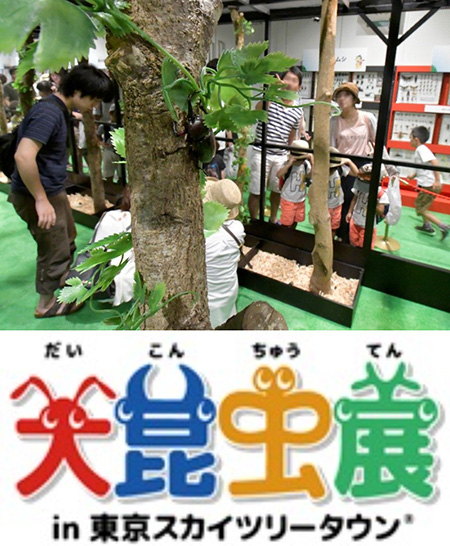 大昆虫展 in 東京スカイツリータウン（R） ～ようこそ昆虫の惑星へ～/東京スカイツリータウン （R） （東京都/墨田区）