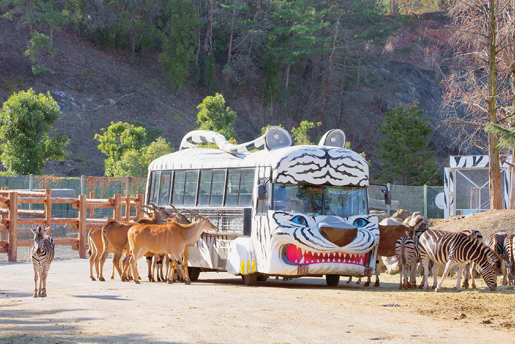 群馬サファリパーク（群馬県/富岡市）