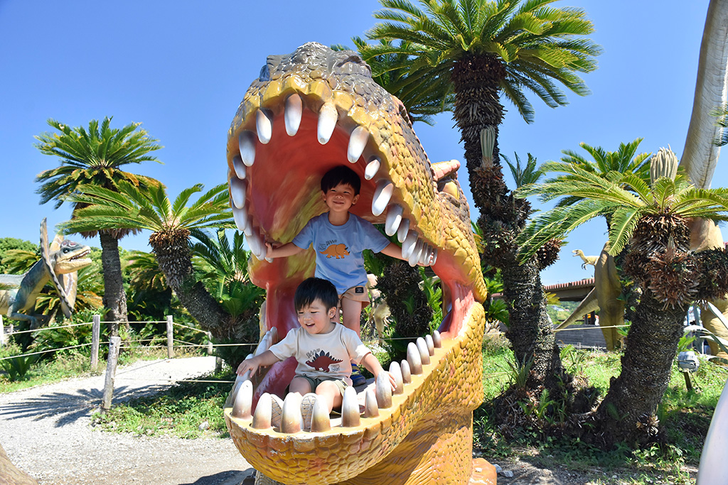 伊豆ぐらんぱる公園（伊豆高原グランイルミ）（静岡県／伊東市）