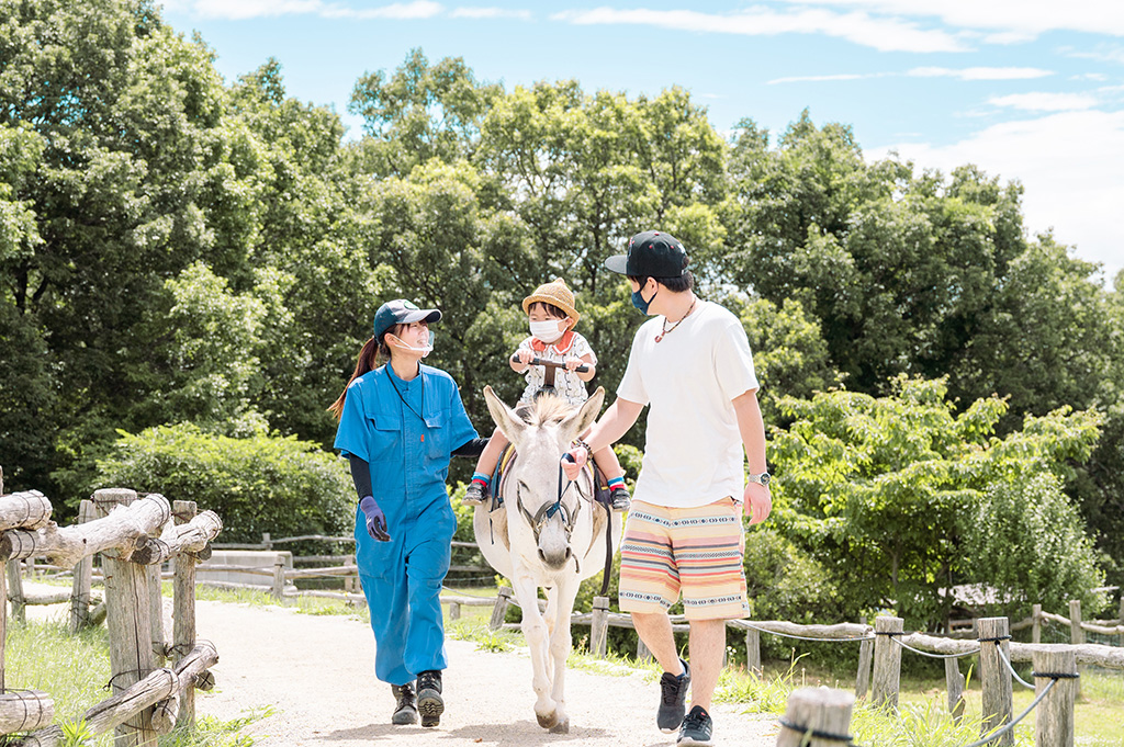 乗馬体験/那須高原 南ヶ丘牧場（栃木県／那須町）