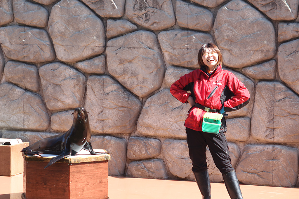 オットセイによるパフォーマンス/那須どうぶつ王国（栃木県／那須町）