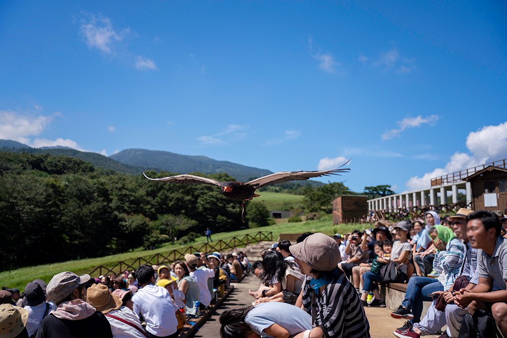 バードパフォーマンス「BROAD」/那須どうぶつ王国（栃木県／那須町）