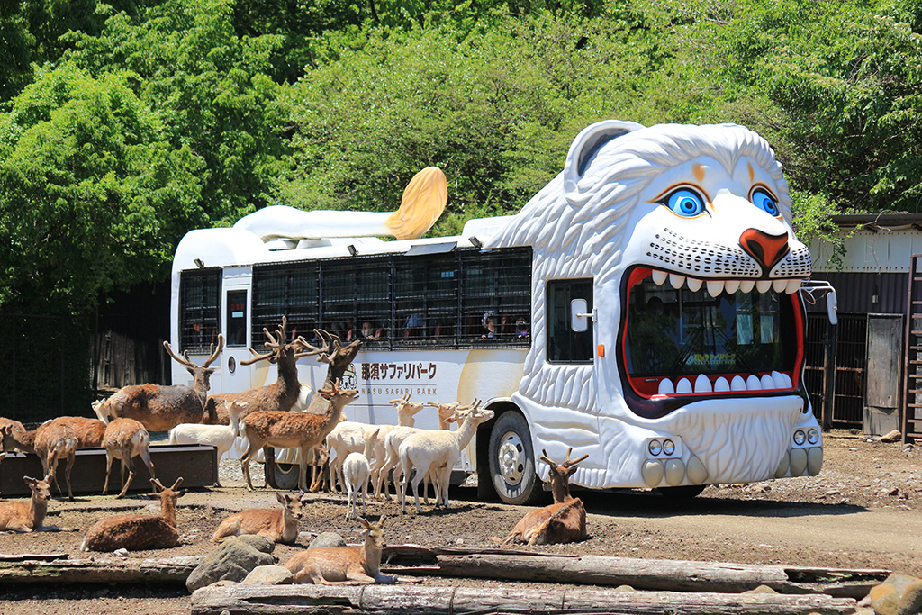 那須サファリパーク （栃木県／那須町）