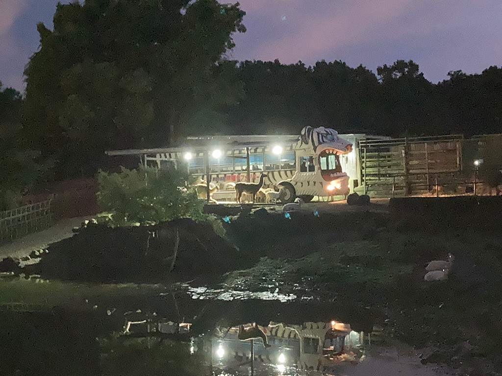 ナイトサファリ/那須サファリパーク （栃木県／那須町）