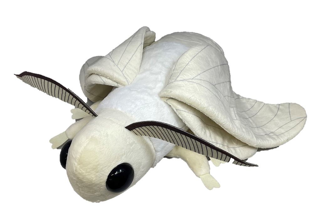 大きな蚕蛾のぬいぐるみ｜特別展「昆虫 MANIAC」/国立科学博物館（東京都/台東区）