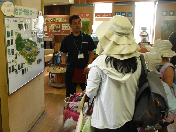 「夏のチョウをさがそう！」/都立小峰公園（東京都/あきる野市）